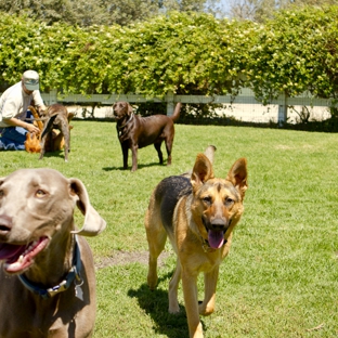 Creekside Pet Boarding - Arroyo Grande, CA. Team Creekside!