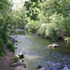 Norfork National Fish Hatchery gallery