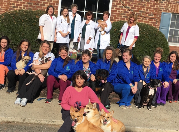 Mint Hill Animal Hospital - Mint Hill, NC