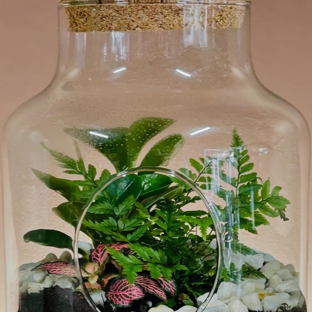 Newcastle Flowers By Design - New Lambton, NSW. Preserved Flowers