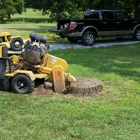 Huggins Stump Removal