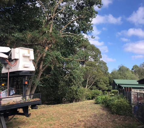 Rob Jamieson Tree & Stump Removal - Colac East, VIC