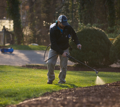 Canopy Lawn Care of Raleigh