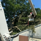 Kirby's Tree Care LLC