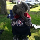 Bama Fever-Tiger Pride - Sportswear