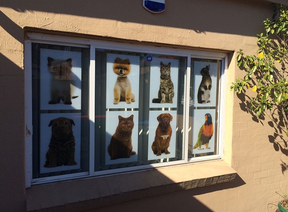 Bankstown Veterinary Hospital - Bankstown, NSW