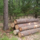 PARKS Tree Service and Logging LLC