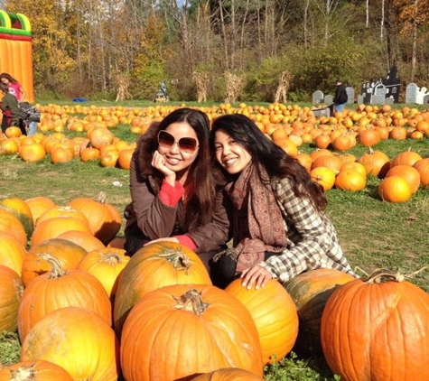 Whitney's Farm Market & Garden Center - Cheshire, MA