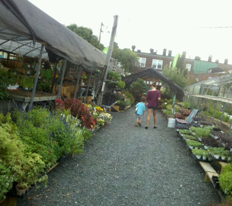 Greens Grow Farm - Philadelphia, PA