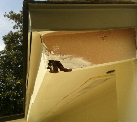 A New Leaf Painting Contractors - Jacksonville, FL