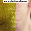 Pilosity Studio gallery