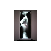 Gallery Image Number 2