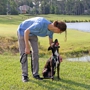 Pivotal Dog Training