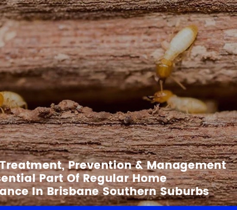 TC's Pest & Termite Management. Termite Treatment, Prevention & Management Is An Essential Part Of Regular Home Maintenance In Brisbane Southern Suburbs