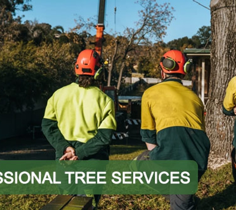 Curtis Tree Lopping Specialists. Professional Tree Services