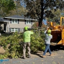 Kingkiner Tree Service - Arborists