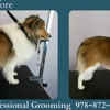 Bos Paws Grooming gallery