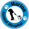 Marion Animal Hospital gallery