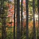 Acadia National Park - Places Of Interest