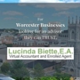 Lucinda Biette Virtual Accountant