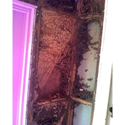 Gallery Image Number 5