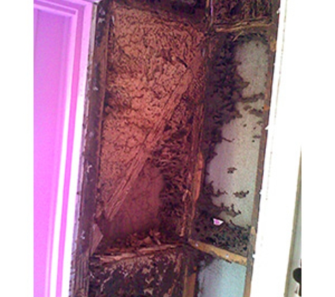 Boonah - Beaudesert Termite Specialist - Beaudesert, QLD. Termite nest detcted in wall of home