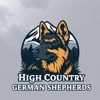 High Country German Shepherds gallery