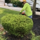 A.Vision Lawn Care