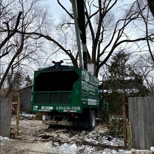 Dupage Tree Services - Elmhurst, IL