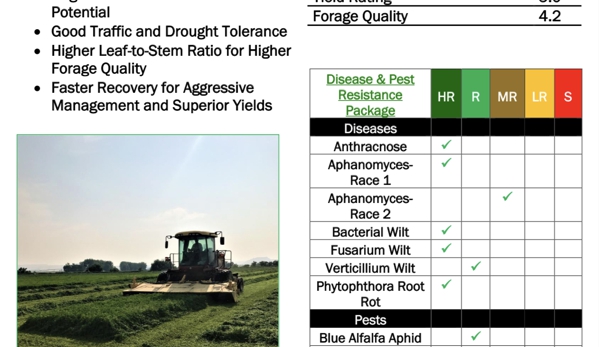 Gem State Seed - Nampa, ID. XY400 Alfalfa Tech Sheet.  Extreme Yield Alfalfa Seed.