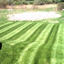 Stone Creek Landscaping & Construction - Landscaping & Lawn Services