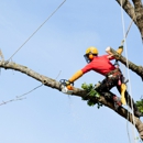 Highpoint Tree Care - Tree Service