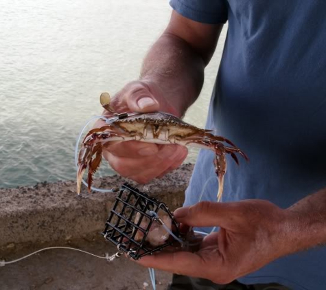 Michelle's Crab Snares - Salem, OR