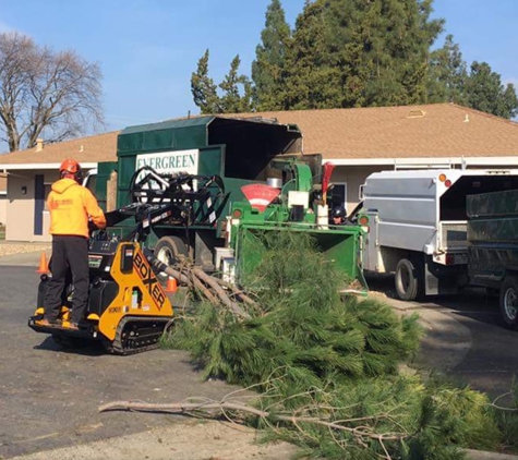 Evergreen Arborists Inc. - Woodland, CA