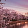Holiday Inn Express & Suites Washington DC - Noma by IHG gallery