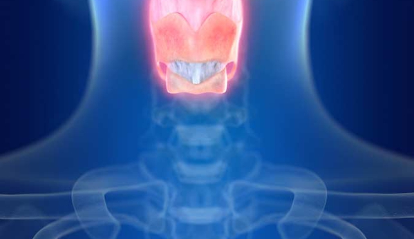 Southern Sydney Voice Therapy