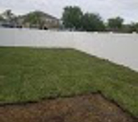 Clean Cut Lawn Service - Tampa, FL