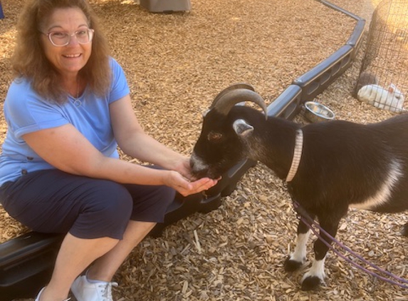 Montessori Early Learning Center - Tampa, FL. Ms. Jackie feeding Zoey on petting zoo day at school