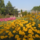 Floreo Horticulture Services - Landscape Designers & Consultants