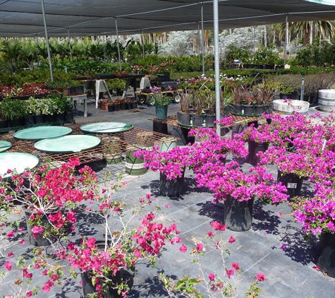 Fallbrook Plant Growers - Fallbrook, CA