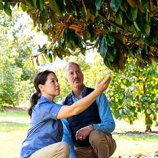 Bartlett Tree Experts - Los Angeles, CA