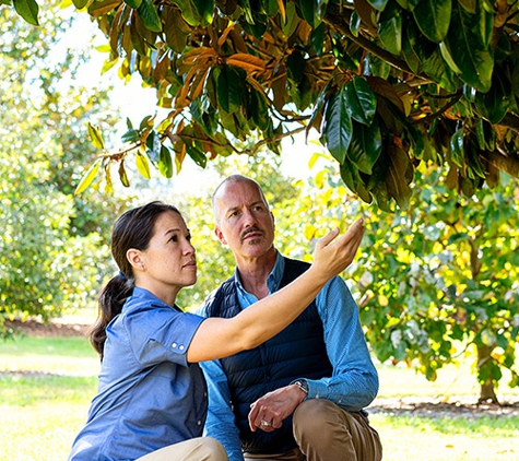 Bartlett Tree Experts - Greer, SC