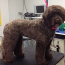 Indy K-9 groom - Pet Grooming