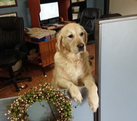Longford Park Boarding Kennels - Longford, TAS. Longford Park Kennels & Cattery - Friendly Reception