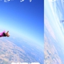 Bay Area Skydiving