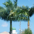 Muslim Community Palm Beach - Mosques