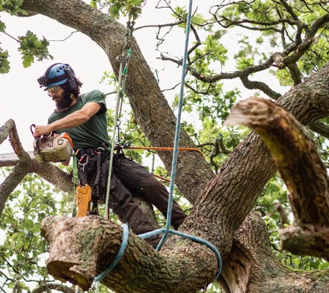 Dale's Tree Service