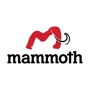 Mammoth Restoration Arizona