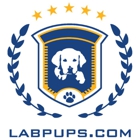 Labpups.com