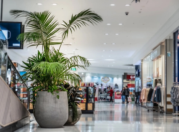 D&L Indoor Plant Hire & Garden Maintenance - Shell Cove, NSW